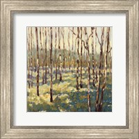 Framed Trees in Blue Green