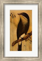 Framed Bird I