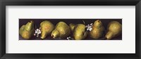 Framed Pears in a Row
