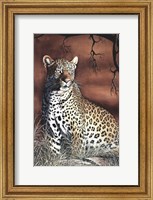 Framed Sitting Leopard