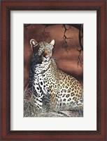 Framed Sitting Leopard