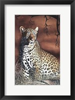 Framed Sitting Leopard