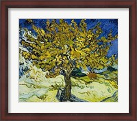 Framed Mulberry Tree, 1889