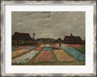 Framed Flower Beds in Holland, c. 1883