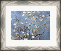 Framed Almond Blossom, 1890