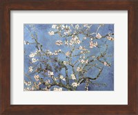 Framed Almond Blossom, 1890