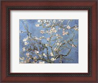 Framed Almond Blossom, 1890