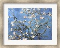 Framed Almond Blossom, 1890