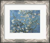 Framed Almond Blossom, 1890