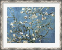 Framed Almond Blossom, 1890