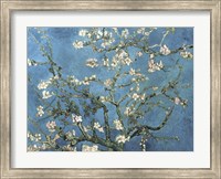 Framed Almond Blossom, 1890