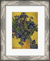 Framed Irises in Vase