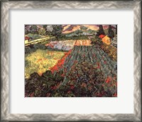 Framed Field of Poppies, Saint-Remy, c. 1889