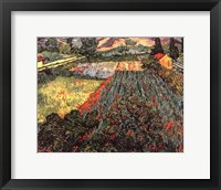 Framed Field of Poppies, Saint-Remy, c. 1889