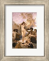 Framed Birth of Venus