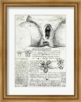 Framed Female Sexual Organs