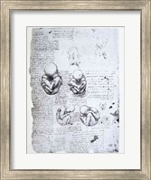 Framed Five Views of a Fetus in the Womb