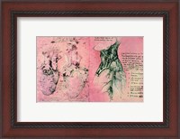 Framed Anatomical drawing of hearts and blood vessels