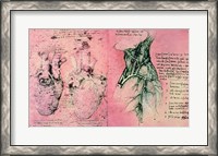 Framed Anatomical drawing of hearts and blood vessels