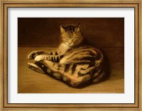 Framed Recumbent Cat, 1898