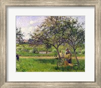 Framed Wheelbarrow, Orchard, c.1881