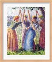 Framed Women Planting Peasticks, 1891
