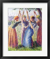 Framed Women Planting Peasticks, 1891