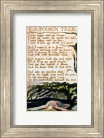 Framed Poison Tree, from Songs of Experience