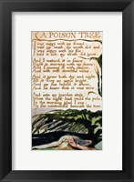 Framed Poison Tree, from Songs of Experience