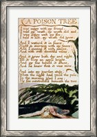 Framed Poison Tree, from Songs of Experience