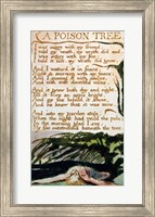 Framed Poison Tree, from Songs of Experience