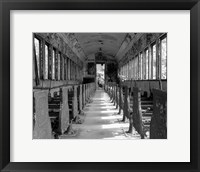 Framed Overgrowth Along The Line