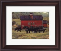 Framed By the Red Barn