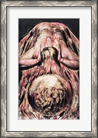 Framed Book of Urizen; Blake's retelling of the Creation of Eve in the Creation of Enitharmon