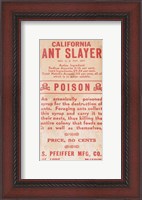 Framed Ant Slayer