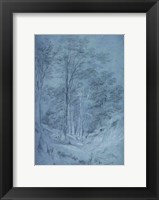 Framed Study of ash and other trees