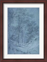 Framed Study of ash and other trees