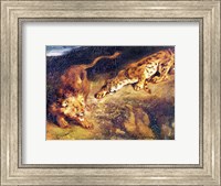 Framed Tiger and Lion