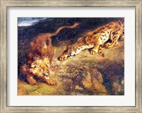 Framed Tiger and Lion
