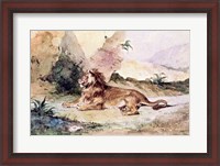 Framed Lion in the Desert, 1834
