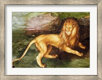 Framed Lion