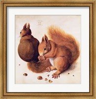 Framed Squirrels, 1512