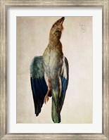 Framed Blue Crow, 1512