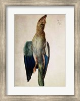 Framed Blue Crow, 1512