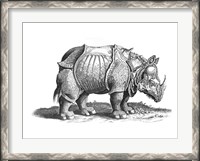 Framed Rhinoceros