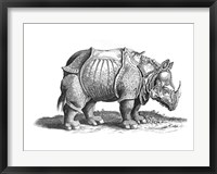 Framed Rhinoceros