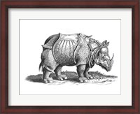 Framed Rhinoceros