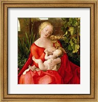Framed Virgin and Child 'Madonna with the Iris', 1508 - red dress