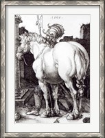 Framed Large Horse, 1509