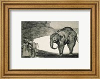 Framed Folly of Beasts, from the Follies series